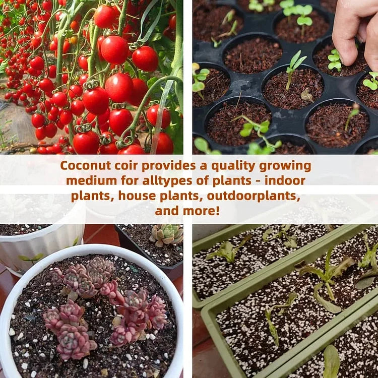 EcoBloom™ Prémiové organické kokosové tehly pre rastliny