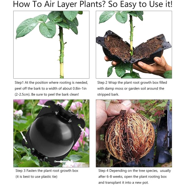EcoRoot™ Box na rast koreňov rastlín