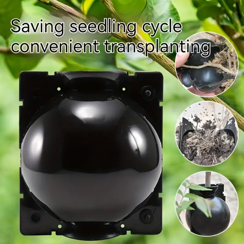 EcoRoot™ Box na rast koreňov rastlín
