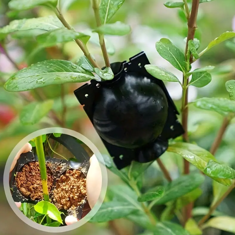 EcoRoot™ Box na rast koreňov rastlín